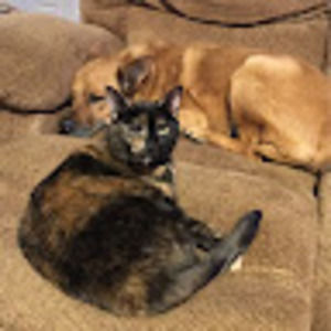 Meet your Posher, Amy